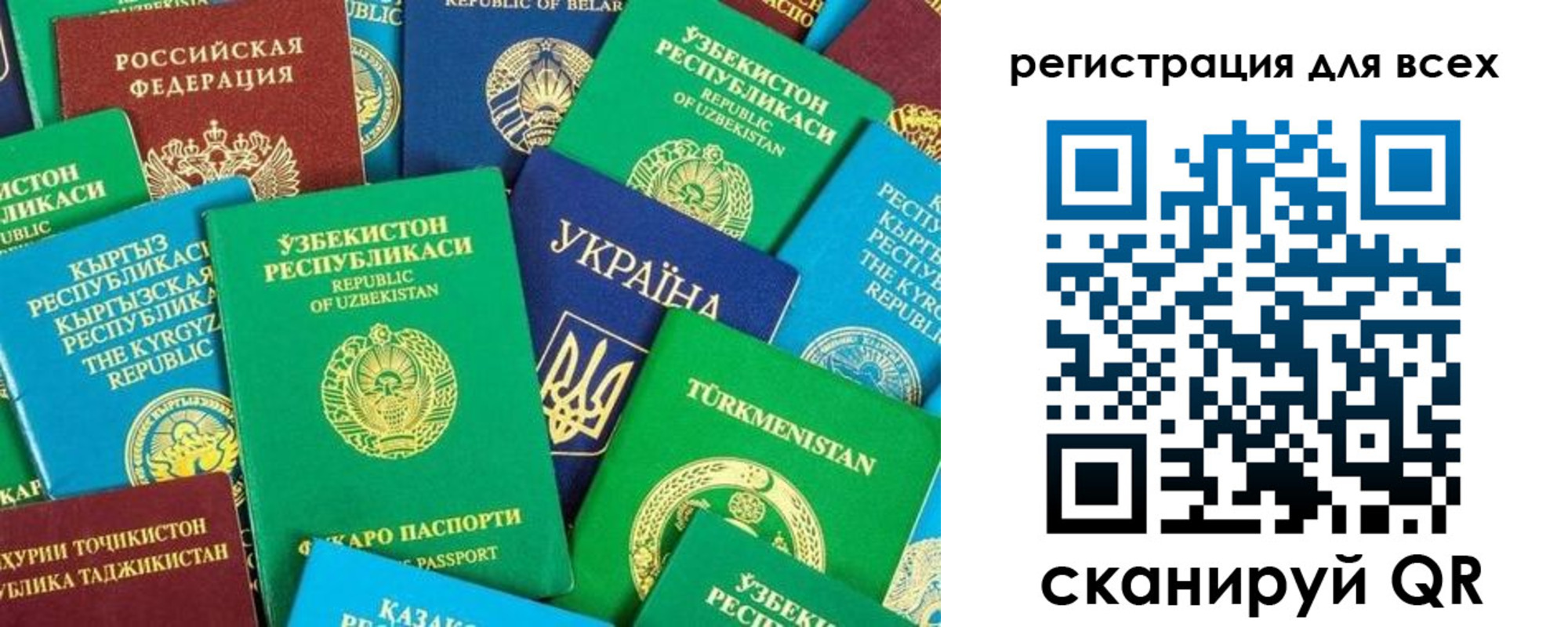 временная регистрация поиск в Электростали